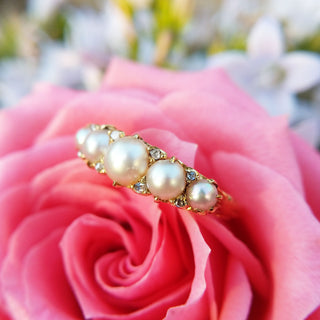 close up of creamy pearls in vintage ring