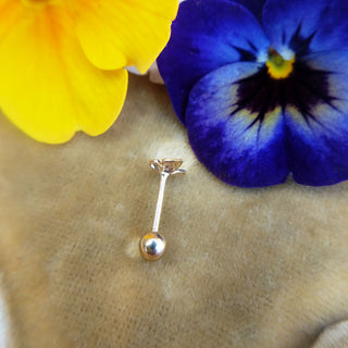 small butterfly helix stud