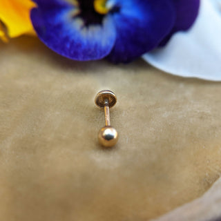 dome helix stud in solid gold