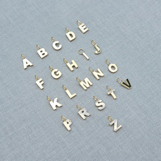 Gold & Silver Charms