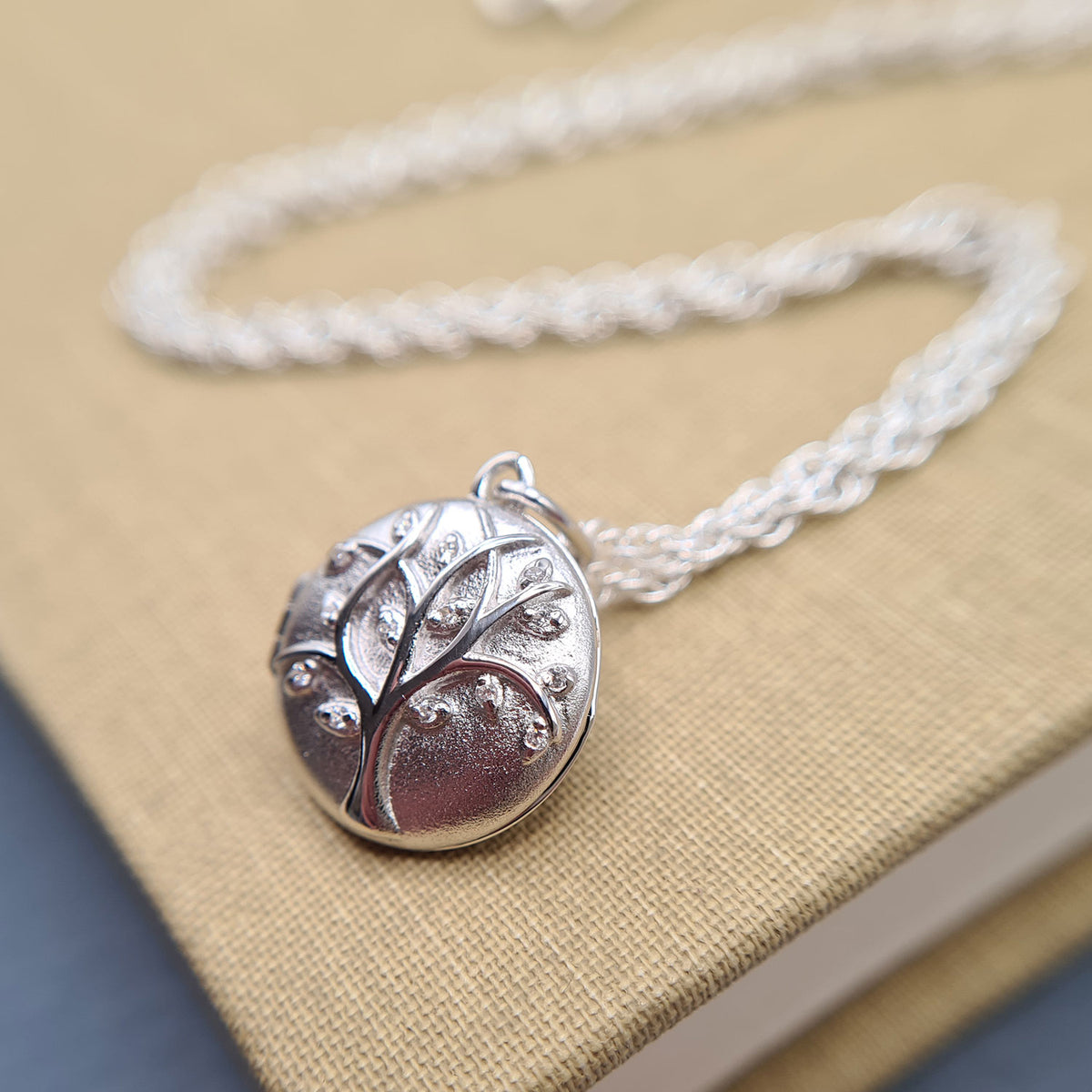 Small on sale silver locket