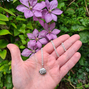 silver tree of life locket in hand for scale