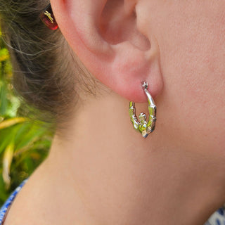 claddagh earrings in ladies ear