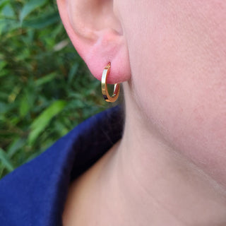 small gold  hoops in ear