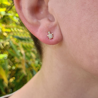 turtle studs in ladies ear