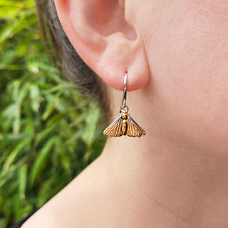 moth earrings in 925 silver with gold plate