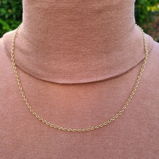 prince of wales chain in yellow gold