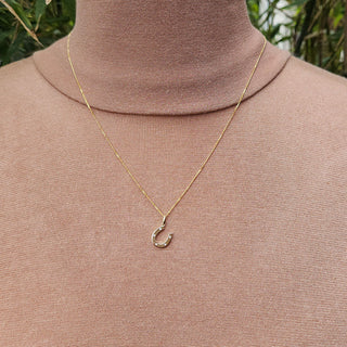 gold horseshoe pendant and chain necklace