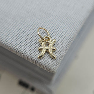 Tiny Gold Simple Zodiac Charm