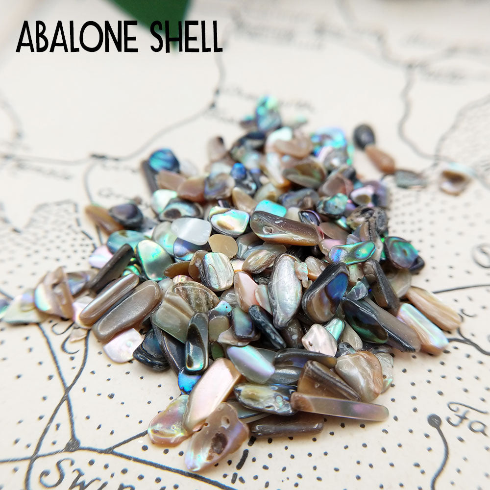 abalone shell chips