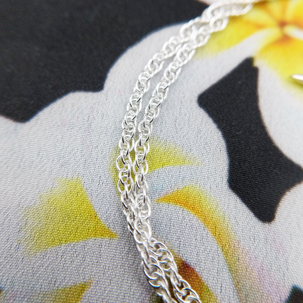close up of prince of wales chain