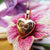 tiny rose gold heart locket necklace