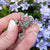 sterling silver frog brooch