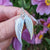 solid silver wing earrings